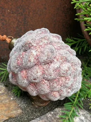 Immagine prodotto di Cono per albero di Natale Mikana 10 cm, rosso-marrone