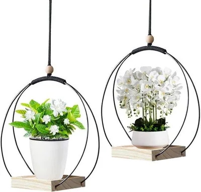 Image de 2 pots de fleurs suspendus avec des supports en macramé pour plantes d'intérieur