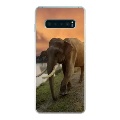 Produktbild von MuchoWow® Handyhülle Schutzhülle Hülle für Samsung Galaxy S10 Plus Elefant - Wasser - Tiere - Sonnenuntergang - Natur Silikon Softcase Handy Hülle - Schutzhülle