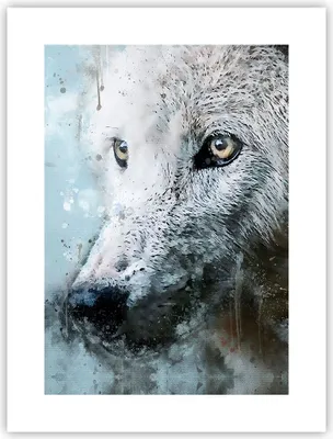 Produktbild von Poster - Poster ohne Rahmen - Weiß Der Wolf Bild - 30x40 cm - Wand Bild - Wanddeko - Wandbilder - Kunstposter - Wandposter - Bilder - Kunstdruck - Wanddekoration - Wandbild - P2XPA30x40-4623