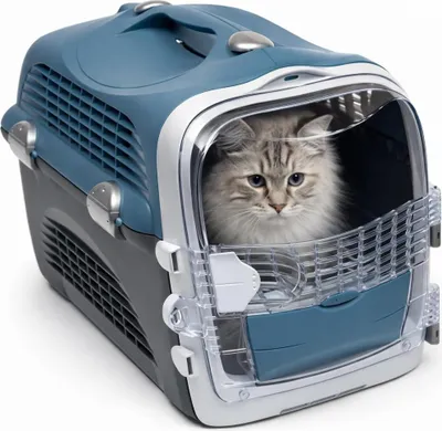 Produktbild von Catit Design Cabrio Transportbox Für Katzen & Kleine Hunde, 33X51X35Cm, Blau