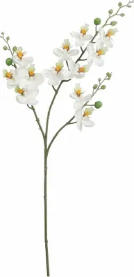 Produktbild von Mica künstliche Phalaenopsis weiß, 75 cm