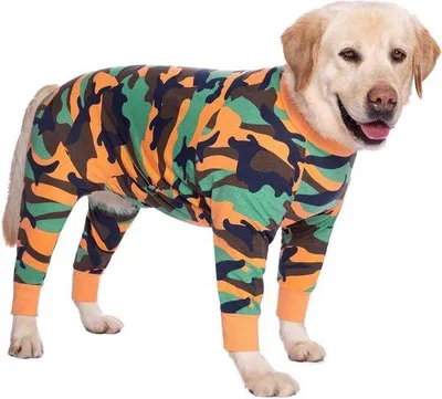 Produktbild von Elastische Hundekleidung XXXL Camouflage Schutzanzug