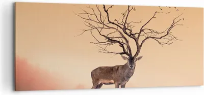 Produktbild von Bild auf Leinwand - Leinwandbild - Hirsch Baum Nebel Wald - 120x50cm - Wand Bild - Wanddeko - Leinwanddruck - Bilder - Kunstdruck - Wanddekoration - Leinwand bilder - Wandkunst - AB120x50-3127