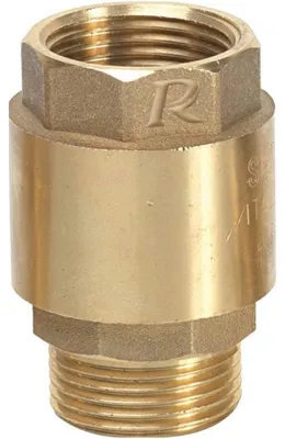 Image de Clapet Anti-Retour 1 po - Laiton - Sortie M - Entrée F - Protection Contre les Retours de Fluide - D-Work
