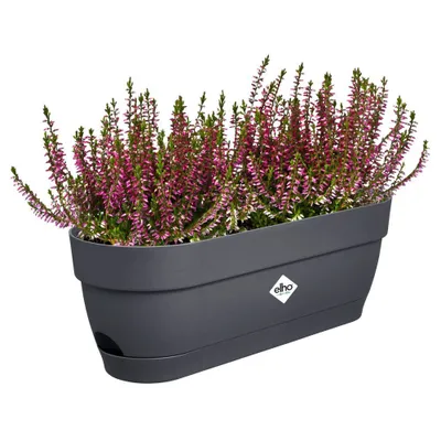Produktbild von vibia campana balkonkasten 50cm anthrazit