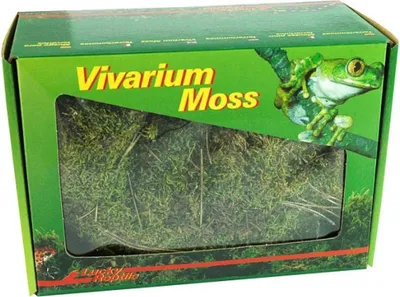 Zdjęcie produktu dla Lucky Reptile VM-150, Moss, 150 g, Zielony, Pudełko