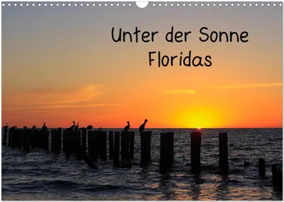 Produktbild von Unter der Sonne Floridas (Wandkalender 2026 DIN A3 quer), CALVENDO Monatskalender