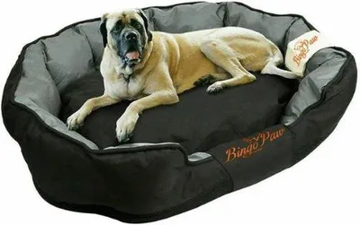 Image de Lit orthopédique pour chien XL, imperméable, lavable, 105 x 80 x 22 cm, noir