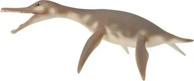 Immagine prodotto di Collecta Dolichorhynchops COLECTA