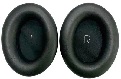 Image de Écouteurs de rechange pour le JBL Tour ONE M2