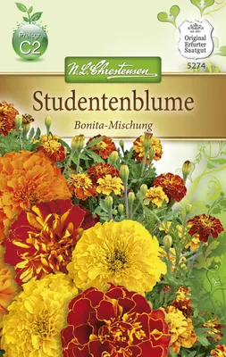 Produktbild von Studentenblume Bonita Mischung | Studentenblumensamen von N.L. Chrestensen