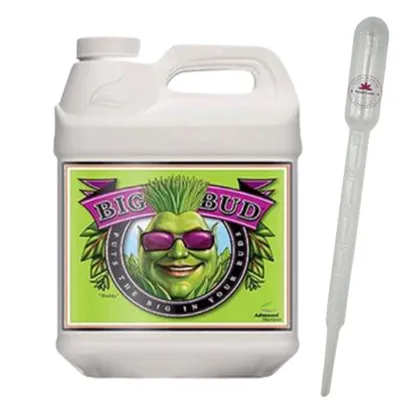 Produktbild von Advanced Nutrients Big Bud 250 ml