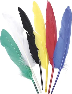 Produktbild von KNORR PRANDELL 212543807 Indianerfedern 25 - 30 cm bunt sortiert iert