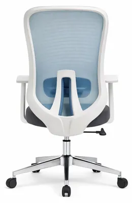 Produktbild von Ergonomischer Bürostuhl mit Mesh-Rückenlehne, verstellbaren Armlehnen