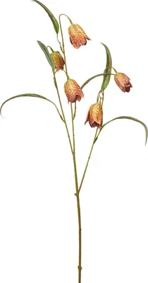 Immagine prodotto di Ramo decorativo artificiale di ribes, 59 cm, giallo-verde, H&L