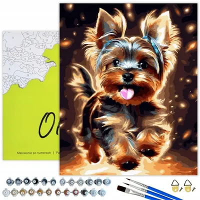 Obrázok produktu pre Ach, umenie! Paint by Numbers Picture Animals - Yorkshire Terrier Dog 50x40 cm čierne plátno s rámom akrylová farba sada štetcov dospelí deti