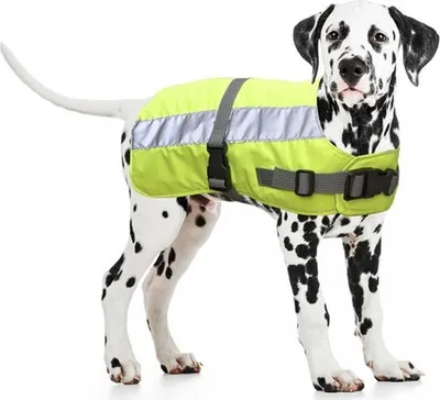Produktbild von Reflektierende Weste für Hund 60cm gelb Duvo+