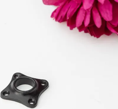 Produktbild von Rosette für Türklinke(einzeln) - zeitloses Design | Eisen schwarz