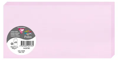 Image de Pollen by Clairefontaine Carte double DIN long lilas 25 cartes