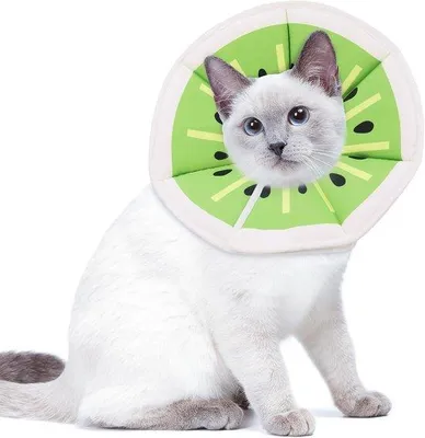 Productafbeelding van Anti-Lechkraag voor Kat, Beschermkraag voor Kat, Herstelkragen
