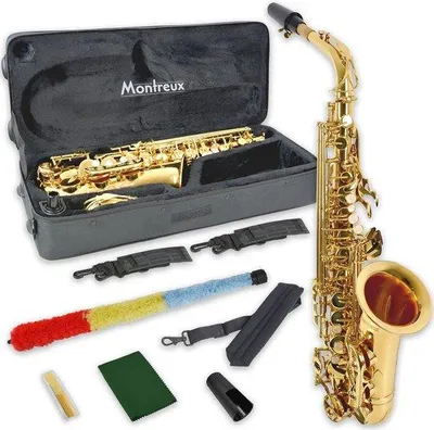 Produktbild von Alt-Saxophon für Anfänger mit Tragetasche und Zubehör - Eb