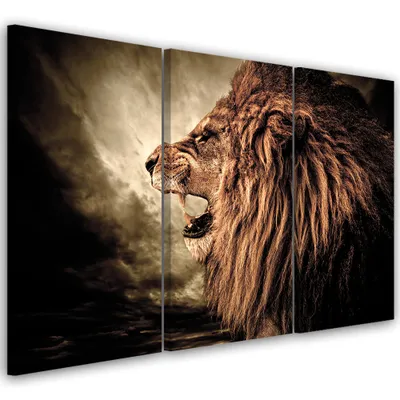 Produktbild von Triptychon auf leinwand tiere - orange 60x40 cm Feeby orange wandbild bereit zum aufhängen