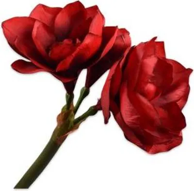 Produktbild von Silk-ka Kunstblume - Seidenblume - Kunstzweig Amaryllis Stiel Rot-Grün 61cm