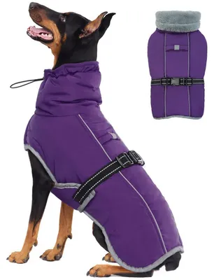 Immagine prodotto di Cappotto impermeabile e riflettente per cani, caldo, antivento e regolabile, colore viola, taglia XL