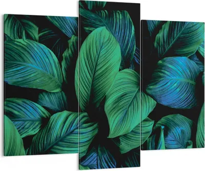 Produktbild von Bild auf Leinwand - Leinwandbild - 3 Teile - Blätter Pflanzen Exotik - 130x100cm - Wand Bild - Wanddeko - Wandbilder - Leinwanddruck - Bilder - Wanddekoration - Leinwand bilder - CB130x100-5066