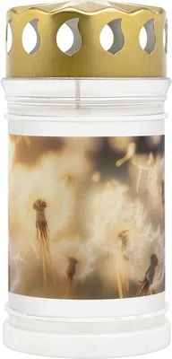 Obrázok produktu pre Bolsius viečko 250g 72h. Púpavy