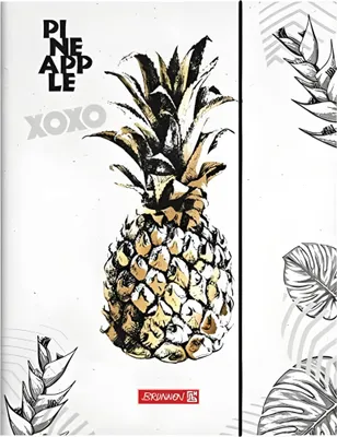 Produktbild von BRUNNEN Sammelmappe A4 RVS Pineapple