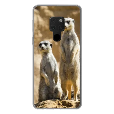 Produktbild von MuchoWow® Handyhülle Schutzhülle Hülle für Huawei P40 Lite Felsen - Erdmännchen - Tiere Silikon Softcase Handy Hülle - Handy