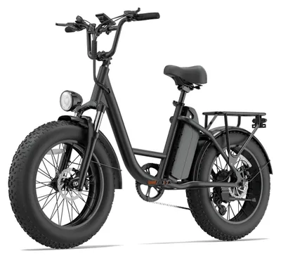 Immagine prodotto di Bici Elettrica | URLIFE | E20 PRO |48V15.6Ah 20" Freno a Disco eBike - Nero
