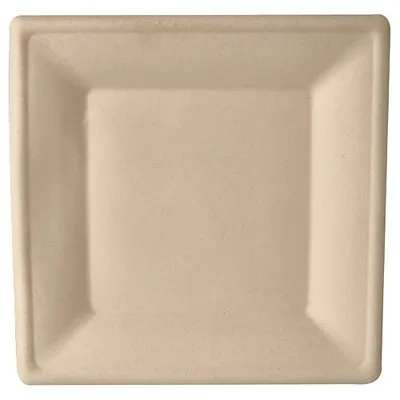 Image de PAPSTAR Assiette en canne à sucre "pure" carrée 260 x 260 mm 50 pièces