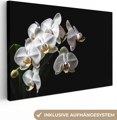 Zdjęcie produktu dla OneMillionCanvasses® - Obrazy na płótnie - 150x100 cm, Orchidea - Kwiaty - Biały - Natura - Czarny, Dekoracja ścienna - Zdjęcie na płótnie - Obraz na drewnianej ramie