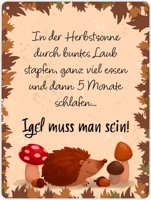 Produktbild von Winterschlaf Herbst Metallschild XL in 21x28 cm mit Spruch - Igel muss man sein