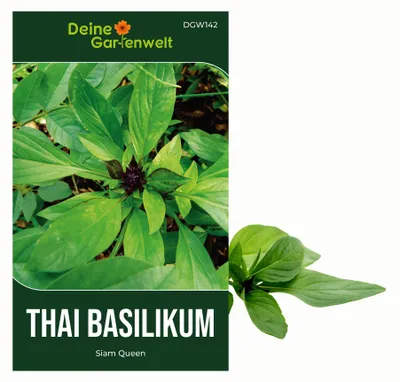 Produktbild von Thai Basilikum Siam Queen Samen - Ocimum basilicum - Basilikumsamen - Kräutersamen - Saatgut für 100 Pflanzen