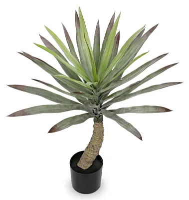 Obrázek produktu pro Umělá rostlina Yucca v provedení bonsai, výška 70 cm, vhodná pro použití v interiéru i exteriéru