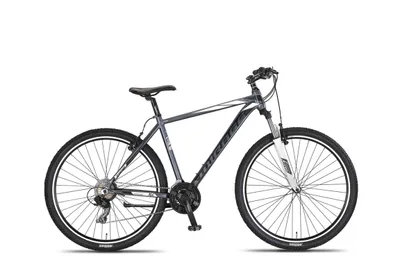 Produktbild von Umit Hardtail Mountainbike Mirage Oversized MTB 29 Zoll 50 cm Unisex 21G Felgenbremse Anthrazit/Weiß