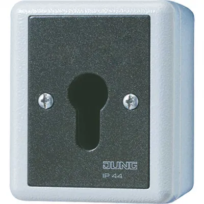Obrázek produktu pro Klíčový spínač 16AX 250V 2-pól - 2-pólový spínač pro roletu šedá 806.28 G