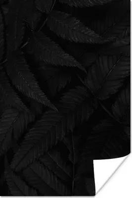 Produktbild von MuchoWow® Poster Blätter - Schwarz - Weiß - Pflanzen - Botanisch 80x120 cm - Papierdruck