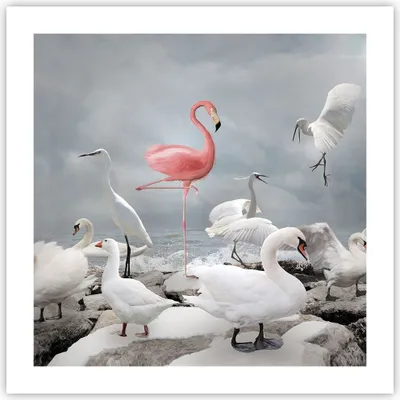 Produktbild von Poster - Poster ohne Rahmen - Flamingo Schwan Fantasie - 50x50 cm - Wand Bild - Wanddeko - Wandbilder - Kunstposter - Wandposter - Bilder - Kunstdruck - Wanddekoration - Wandbild - P2XAC50x50-4929