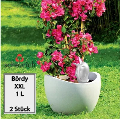 Produktbild von Scheurich Wasserspender Bördy XXL | 2x Champagne | 1000 ml Füllmenge | Bewässerungskugel klein mit Ton Fuß | Wasserspender Pflanzen und Blumen Terrakotta Stiel