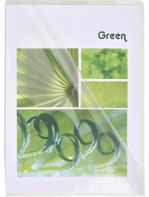Image de Exacompta Etui carton de 100 pochettes coin PVC A4 661230E