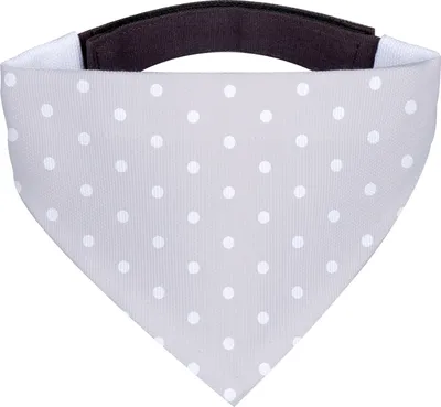 Produktbild von Mr. & Mrs. Panda Bandana Eisbär Faul - Grau Pastell - Geschenk, Halstuch Hund, Teddy, Hunde, Büro, Hals Tuch, Bär, Für, Relaxen, Dreieckstuch, Arbeit