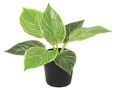 Produktbild von Künstlicher Philodendron Birkin 20cm im Topf realistische Mini Kunstpflanze