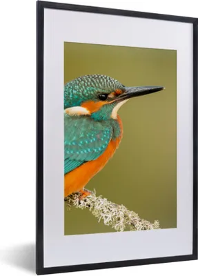 Produktbild von MuchoWow® Gerahmtes Poster Eisvogel - Tiere - Vogel 40x60 cm - Poster mit Schwarzem Bilderrahmen Wandposter Rahmen Foto Bilder - Poster in Rahmen