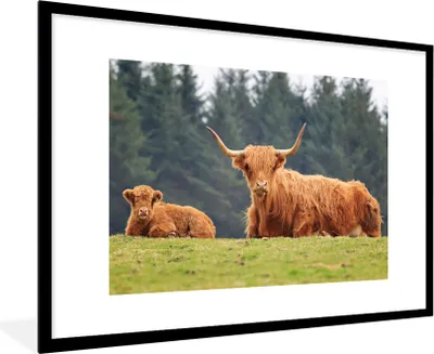 Produktbild von MuchoWow® Gerahmtes Poster Schottische Highlander - Gras - Wald 90x60 cm - Poster mit Schwarzem Bilderrahmen Wandposter Rahmen Foto Bilder - Wanddekoration - Fotos