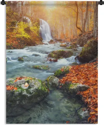 Produktbild von MuchoWow® Wandteppich Wandbehang Natur - Sonne - Herbst 60x80 cm Tapisserie Dekoration Wandtuch - Decke - Wandtücher - Wohne